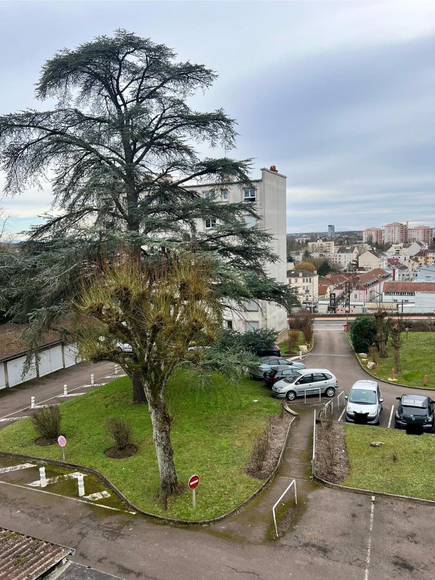 Le Bellevue - T3 - Gare & Les Jardins Darcy - Parking Free Lägenhet Dijon Exteriör bild